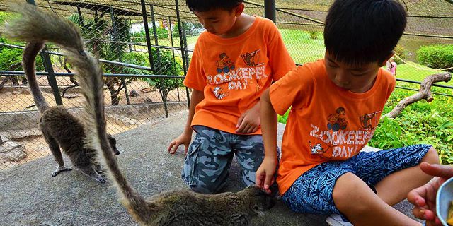 Zookeeper for a day kids package at casela park (8)